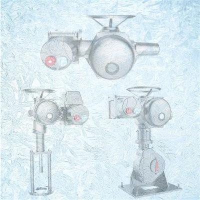 Kundenspezifischer elektrischer Niedertemperatur-Motorantrieb