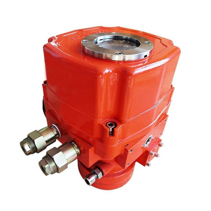 Explosion Proof With Limit Switches Actuator