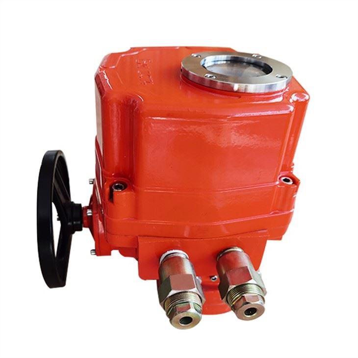 Explosion Proof With Limit Switches Actuator